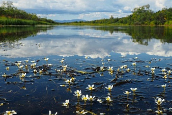В Корякском заповеднике стартует неделя водно-болотных угодий. Фото 6