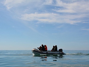 Завершился трёхлетний природоохранный проект «Китовая заводь». Фото 13