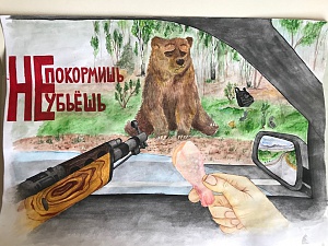 Проект «Не корми медведя» претендует на соискание премии «Хрустальный компас». Фото 1