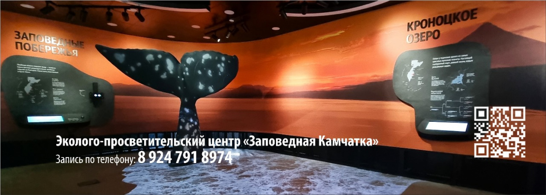 Эколого-просветительский центр "Заповедная Камчатка"