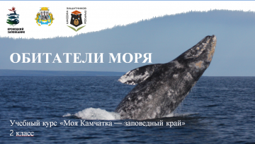 Урок № 6 «Обитатели моря» 