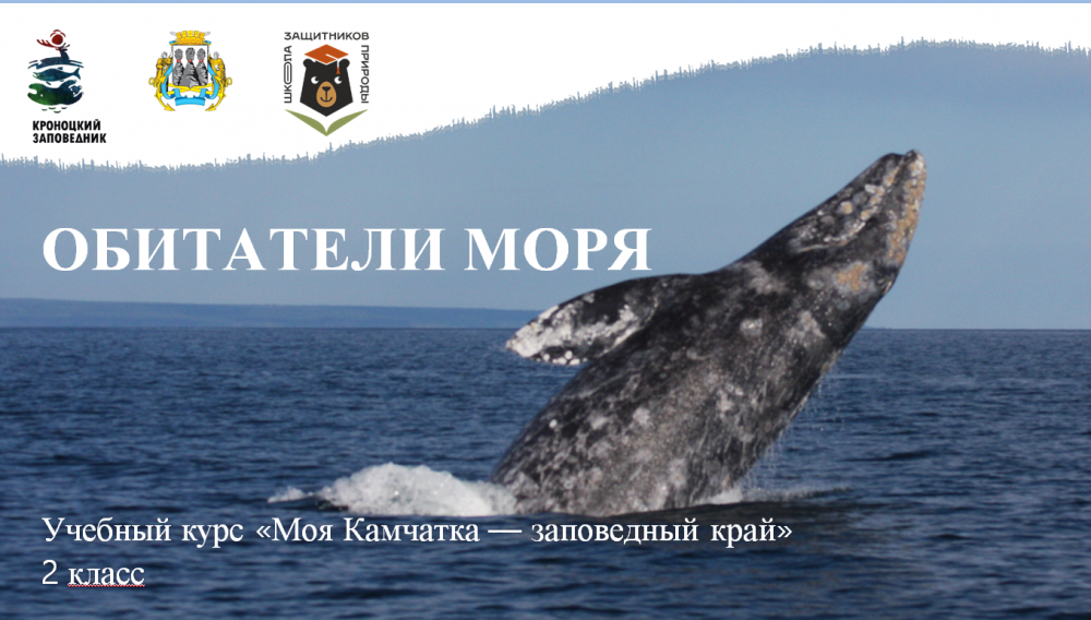 Урок № 6 «Обитатели моря» 