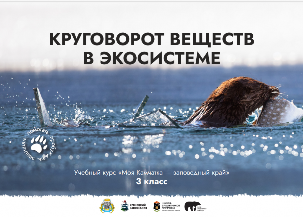 Урок № 6 "Круговорот веществ в экосистеме"