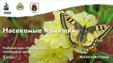 Урок № 7 «Насекомые Камчатки»