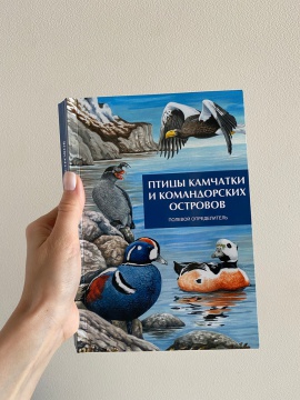 Издан полный определитель птиц Камчатки и Командорских островов. 