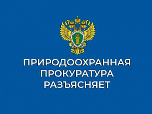 Ответственность за коррупционные преступления и правонарушения