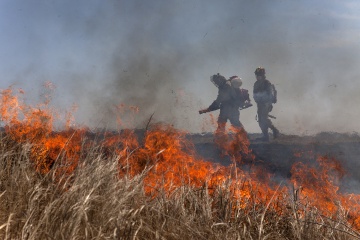 В "Школе защитников природы" можно получить навыки лесных пожарных и общественных инспекторов ООПТ. © Greenpeace