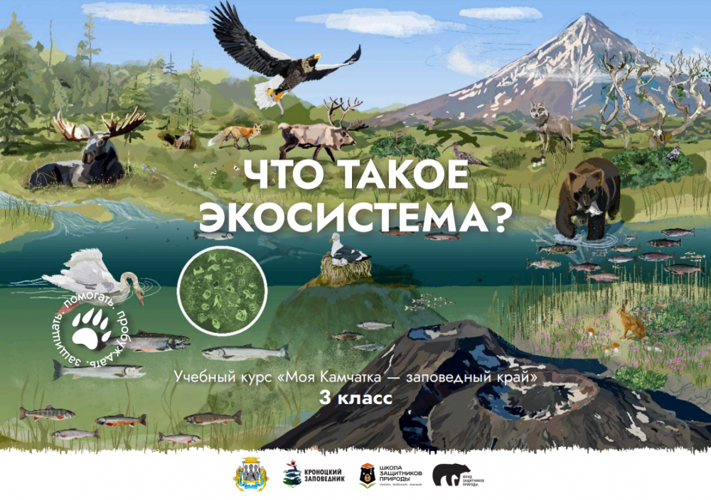 Урок № 5 "Что такое экосистема?"