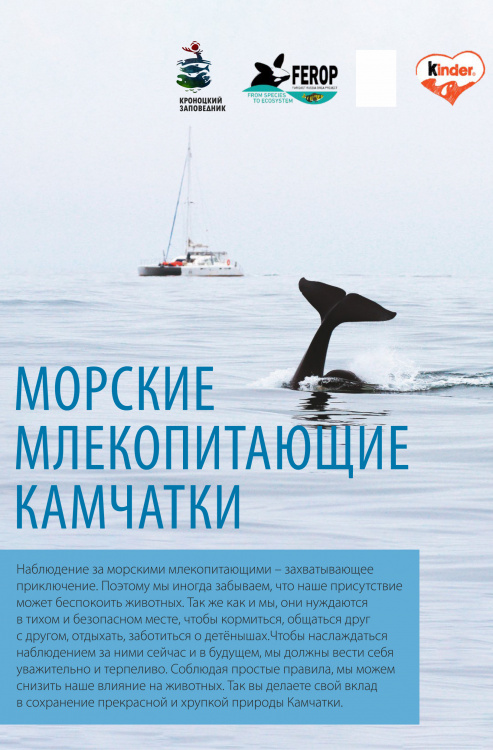 Буклет "Морские млекопитающие Камчатки"