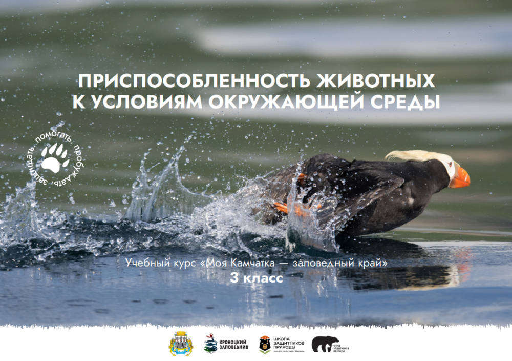 Урок № 2 "Приспособленность животных к условиям окружающей среды"