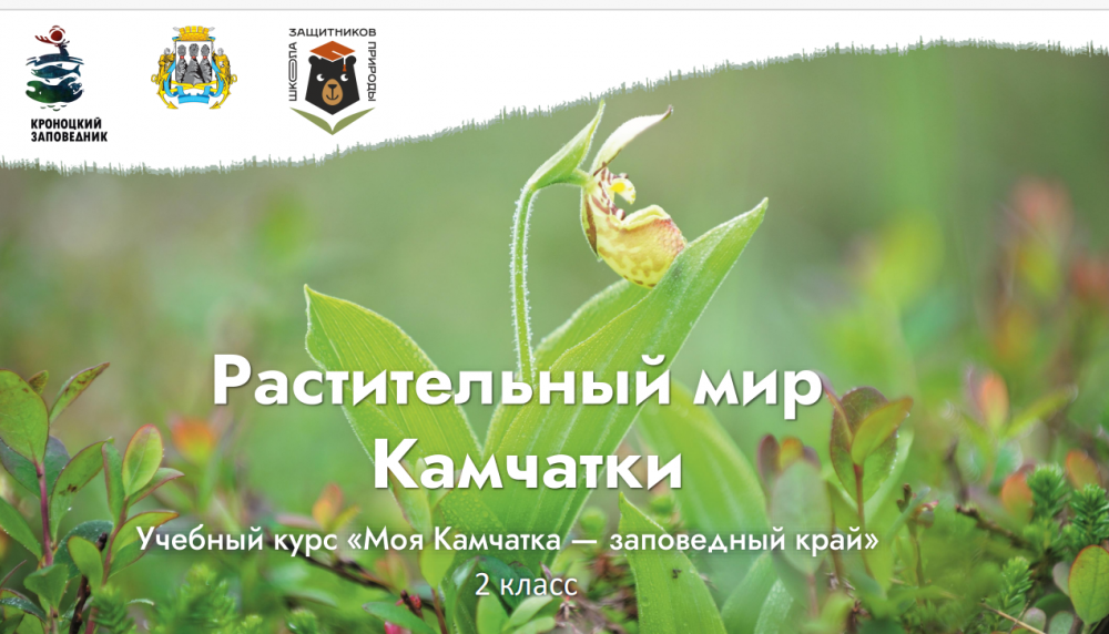 Урок № 8 «Растительный мир Камчатки» 