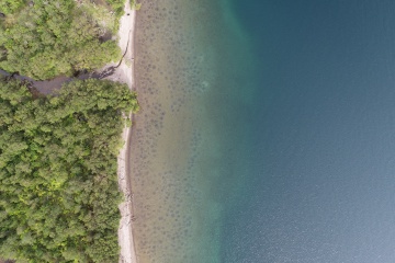 Завершён первый сезон масштабного исследования экосистемы Курильского озера. Гнезда нерки и медведь вверху на берегу