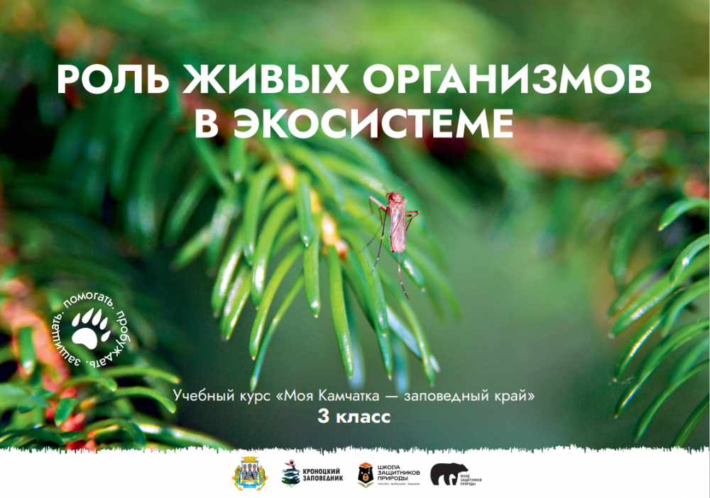 Урок № 9 "Роль живых организмов в экосистеме"