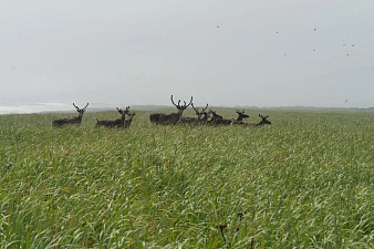 © Макар Бердичевский