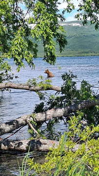 © Екатерина Костенко.