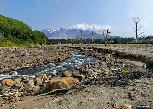 Начался лабораторный этап экологической оценки  рек, впадающих в Авачинский залив. Фото 4