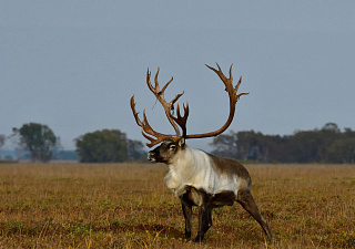 © Алексей Маслов