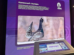© КВТЦ