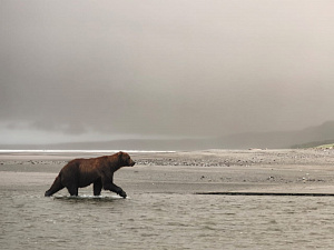 © Дмитрий Балакирев