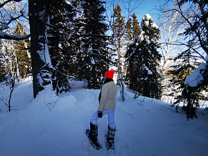 «Зимняя сказка» очаровала более 120 туристов: популярный снегоходный маршрут в Кроноцком заповеднике завершил работу. Фото 2