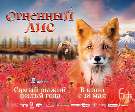 Документальный фильм «Огненный лис»