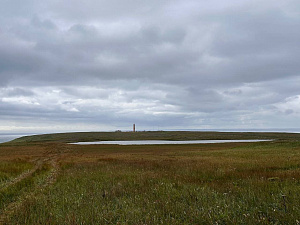  © Софья Плескачёва
