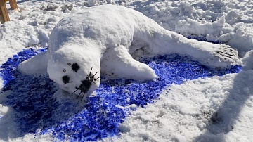 Итоги конкурса снежных фигур "Животные заповедной Камчатки". Фото 6