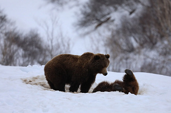 © Владимир Власенко