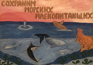 Подготовительная группа «Зайчики» МБДОУ «Детский сад №11 «Умка», плакат «Сохраним морских млекопитающих»