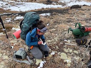 Единственное на Камчатке крупное стадо диких северных оленей возрождается после извержения Кизимена. Фото 6