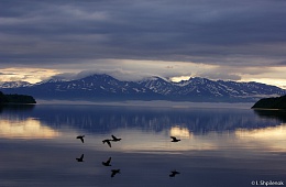 Кроноцкое озеро. Фото: И. Шпиленок