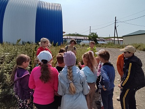 В посёлке Озерновский появился современный арт-объект в виде нерки. Фото 2