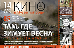 В день 85-летия открытия первого гейзера Кроноцкого заповедника приглашаем в кино!  