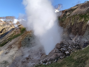 В Кроноцком заповеднике вулканологи изучают процессы восстановления гейзеров после природных катастроф. Фото 3