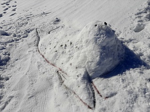 Краб Андрей вошёл в список снежных фигур, получивших высокую оценку жюри. Фото 4