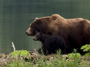 ©Полина Пименова