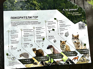 © Всеволод Яковлев