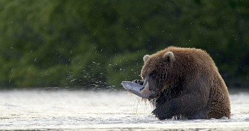 © Дмитрий Шпиленок