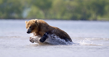 © Дмитрий Шпиленок