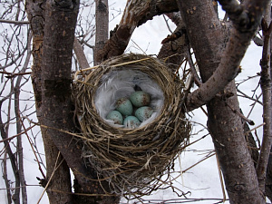 © Владимир Злотников