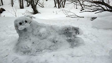 Краб Андрей вошёл в список снежных фигур, получивших высокую оценку жюри. Фото 9
