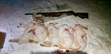 Четырёх любителей незаконной охоты поймали в Южно-Камчатском заказнике с начала ноября. Фото 1
