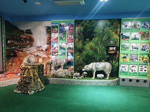 Заповедную «Ночь в музее» организуют Кроноцкий заповедник и природный парк «Вулканы Камчатки». Фото 9