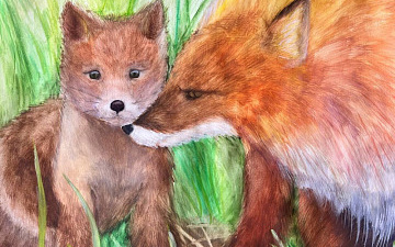 Художественный конкурс «Красивые и важные»