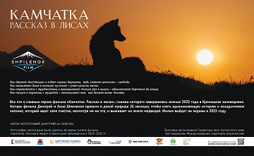 Фотовыставка, посвящённая лисицам Кроноцкого заповедника, начала путешествие по стране. Фото 11