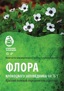 Флора Кроноцкого заповедника. Часть 1