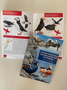 Издан полный определитель птиц Камчатки и Командорских островов. Фото 2