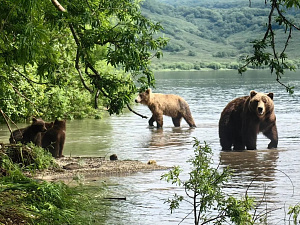 © Евгений Денгес