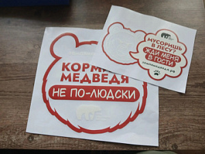 О правилах добрососедства с бурыми медведями на Камчатке напомнят стикеры