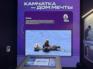 © КВТЦ